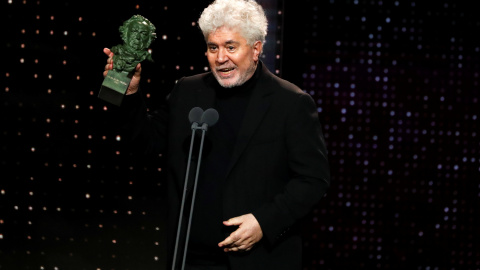 El director Pedro Almodovar  en la Gala de los Goya -  REUTERS/Jon Nazca