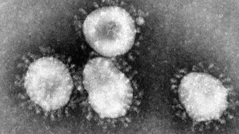 Coronavirus