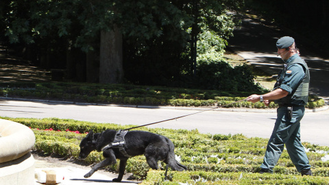 18/06/2014 - Un agente de la Guardia Civil con un perro en los jardines del Palacio Real. / EFE