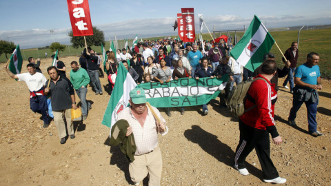 Alrededor de medio millar de jornaleros, convocados por el Sindicato Andaluz de Trabajadores (SAT), han ocupado una finca pública en Palma del Río (Córdoba). / EFE