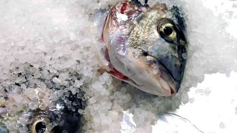 Dorada a la sal al horno.