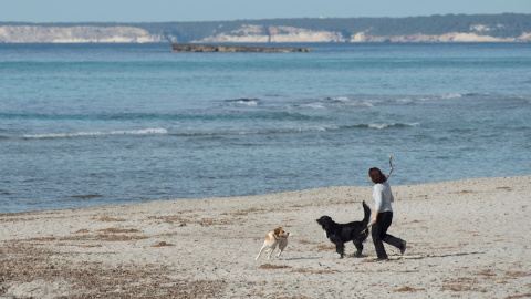 03/02/2020.- Una persona pasea con sus perros por la playa de Son Bou, en el municipio de Alaior (Menorca). EFE/David Arquimbau Sintes