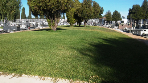 Zona de fosas en el cementerio de la Soledad