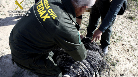 Fotografía facilitada por la Guardia Civil de la actuación realizada por el Grupo de Desactivación de Artefactos Explosivos (GEDEX) con la colaboración de un supervisor de instalaciones radioactivas, dependiente del SEF (Servicio Regional d