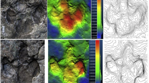Análisis de las huellas del dinosaurio. EUROPA PRESS