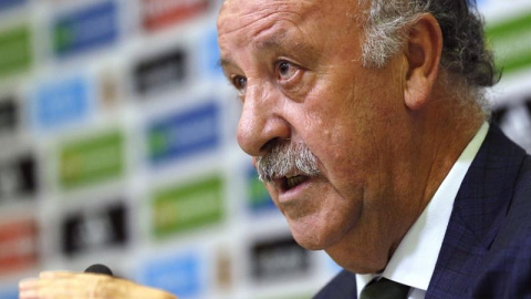 El seleccionador nacional, Vicente Del Bosque. EFE