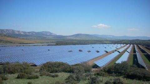 Paneles solares de Renovalia en Puertollano.