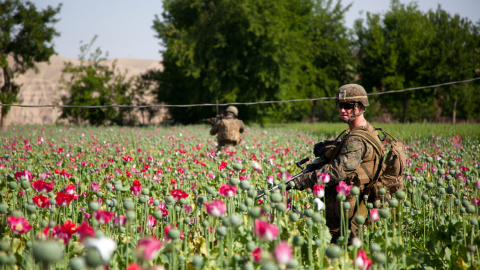  Soldado estadounidense patrullando un campo de amapolas en Afganistán.- Public Intelligence