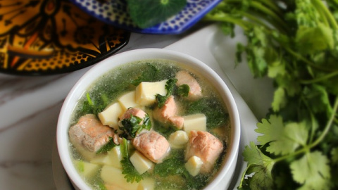 Sopa de salmón y cilantro. 