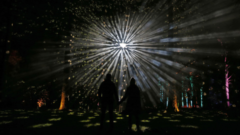 Los visitantes posan para una fotografía durante el evento 'Navidad encantada' organizada por la Comisión Nacional Forestal Arboretum en Westonbirt, Tetbury, Inglaterra. REUTERS / Eddie Keogh