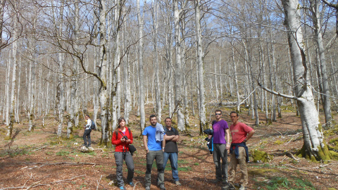 La investigadora aragonesa Edurne Martínez del Castillo, con varios miembros de su grupo de investigación, en uno de los bosques monitorizados para el estudio.