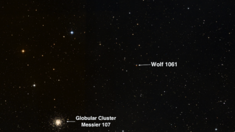 El planeta Wolf 1061 está a 14 años luz de distancia. UNSW