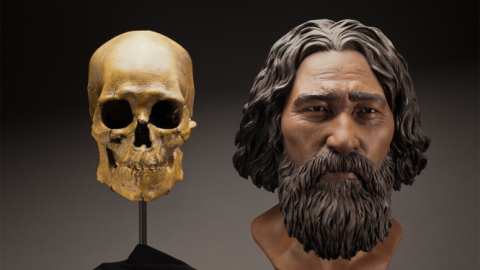 El esqueleto del hombre de Kennewick y una reconstrucción de su rostro / Brittney Tatchell, Smithsonian Institution