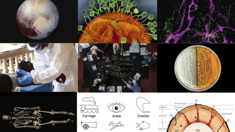 La revista Science ha publicado en su página web su top ten con las aportaciones más importantes a a la ciencia en 2015. / SINC