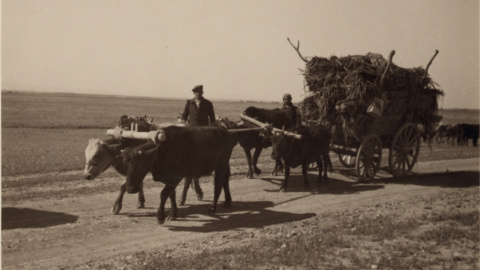 Refugiados asirios salen huyendo con unas pocas posesiones. WIKIPEDIA