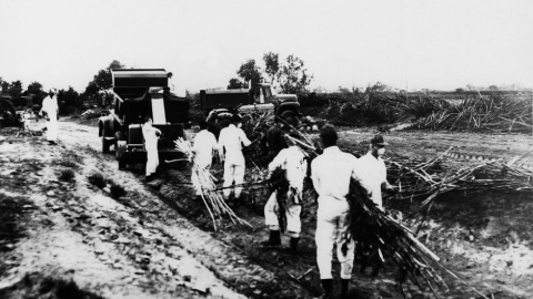 Los soldados estadounidenses retiran las cosechas y tierras contaminadas en Palomares.