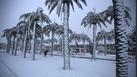 Arabia Saudí registra su primera nevada en 85 años. EP