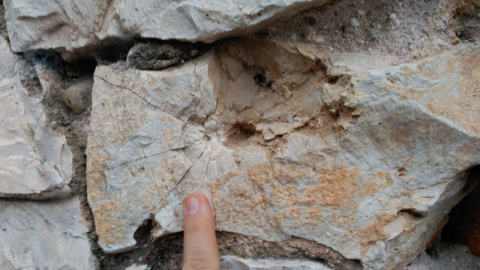 Marca de bala encontrado en la pared que hay al lado de la fosa de Timoteo Mendieta.- ARMH