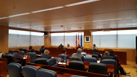 Sesión parlamentaria de la comisión de deuda de la Asamblea de Madrid. A.I.