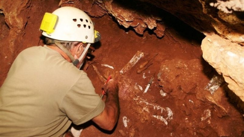 Cueva Victoria, en Cartagena, donde se encontraron los fósiles utilizados en el estudio.