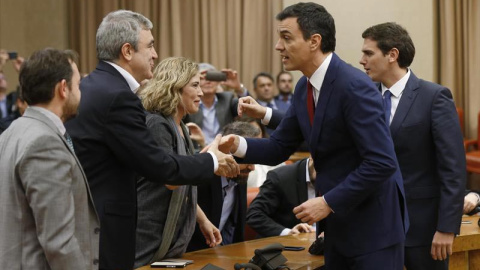 Pedro Sánchez estrecha la mano a Luis Garicano, el responsable de la política económica de Podemos. / EFE (CHEMA MOYA)