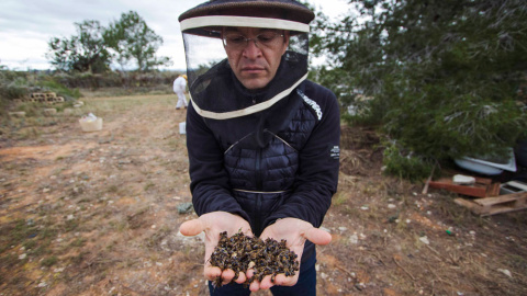 Luís Ferreirim, de Greenpeace, con un puñado de abejas muertas. GREENPEACE