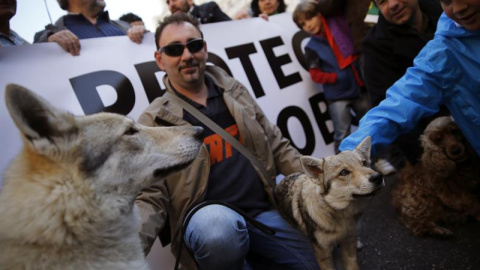 Participantes en la manifestación 'Lobo vivo, lobo protegido' que, organizada por Lobo Marley, PACMA y organizaciones animalistas y ecologistas, se ha desarrollado hoy por Madrid. EFE/Mariscal