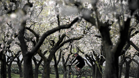 La primavera será más cálida de lo normal, tras el segundo invierno más caluroso en 55 años./REUTERS