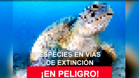 Las cifras de las especies en peligro de extinción, en píxeles