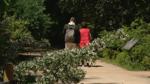 Ara Malikian elige a Vivaldi para ambientar los Paseos Musicales del Jardín Botánico de Madrid