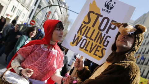 Dos participantes disfrazados en la manifestación 'Lobo vivo, lobo protegido' que organizada por Lobo Marley, PACMA y organizaciones animalistas y ecologistas se ha desarrollado hoy por Madrid. EFE/Mariscal