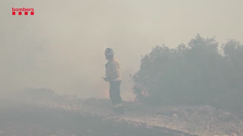 Las llamas se ceban con Artesa de Segre