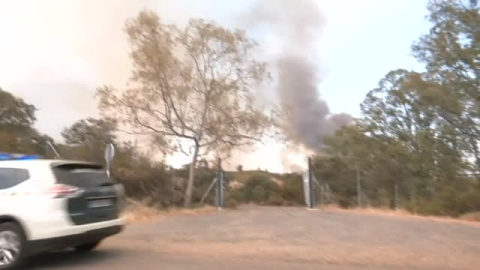 Un incendio forestal en El Ronquillo y Guillena obliga a desalojar a cientos de vecinos