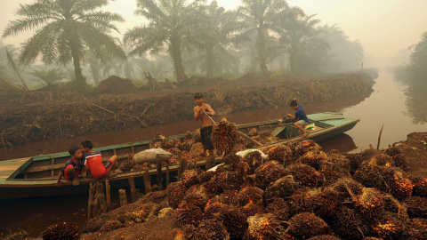 Niños es una plantación de palma en Indonesia. REUTERS