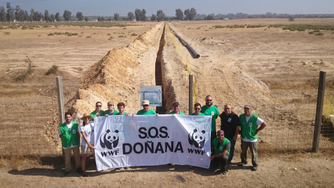 “debería desencadenar la inscripción de Doñana en la lista de Patrimonio Mundial en peligro, por el daño irreversible que supondría la obra para el humedal"