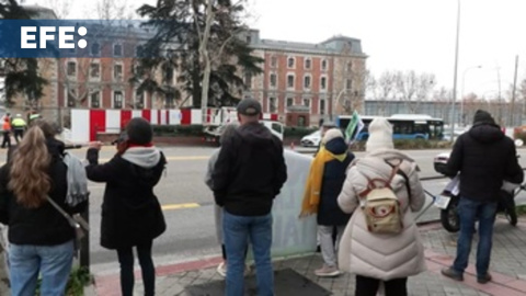 Activistas vigilan la tala de árboles del Paisaje de la Luz en Madrid