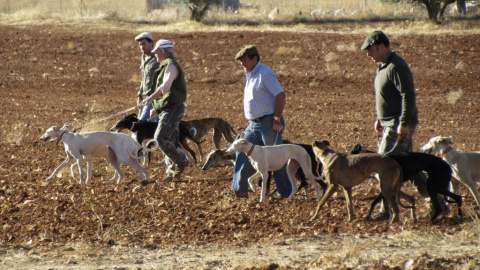 Galgueros en una jornada de caza. EFE/ Archivo