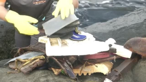 Cientos de voluntarios limpian de desechos la bahía de Manila