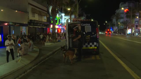 Lloret de Mar se blinda para evitar pinchazos en las zonas de ocio 