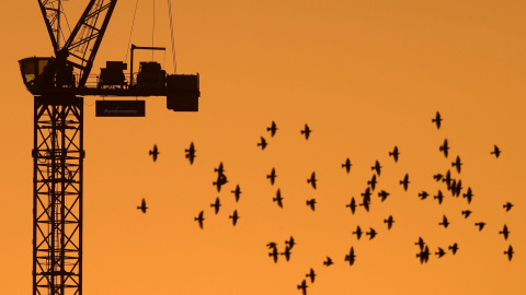 Una bandada de pájaros cruzan el cielo de Londres ayer durante el crepúsculo. / TOBY MELVILLE