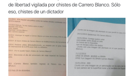 El auto recibido señala que “este usuario con perfil de Twitter contiene graves mensajes de enaltecimiento al terrorismo" y acusa a la joven de un “delito de humillación a las víctimas del terrorismo.