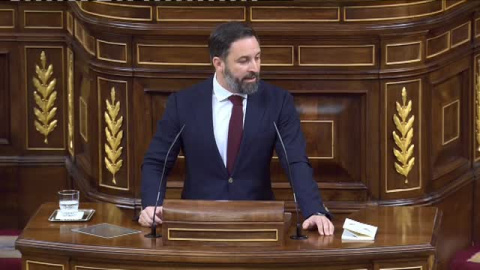 Abascal: "Ninguno de los MENA que roban y violan en la Casa de Campo han venido a aportar nada a España"