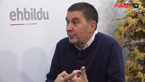 Otegi: "Nosotros somos independentistas, no aspiramos a dirigir el Estado español"