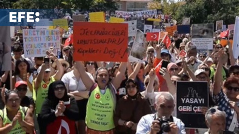 Protestan en Ankara en contra del proyecto de ley que permitiría el sacrificio de perros callejeros