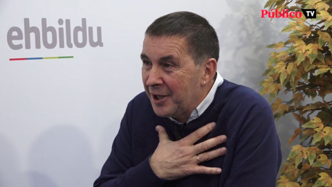 Otegi: "No soy partidario de meter a nadie en la cárcel con 83 años"