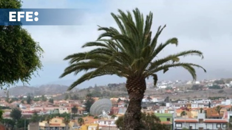 El Gobierno de Canarias declara la prealerta por fenómenos costeros y viento