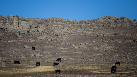 Los vecinos de la Sierra de Ávila se han levantado contra una mina de feldespato. JAIRO VARGAS