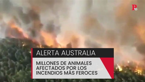 Alerta Australia