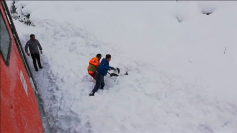 Rescatan a un ciervo atrapado en la nieve en Austria