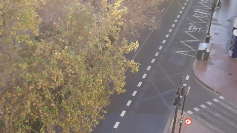 Los corredores del Maratón de Valencia son arropados desde los balcones